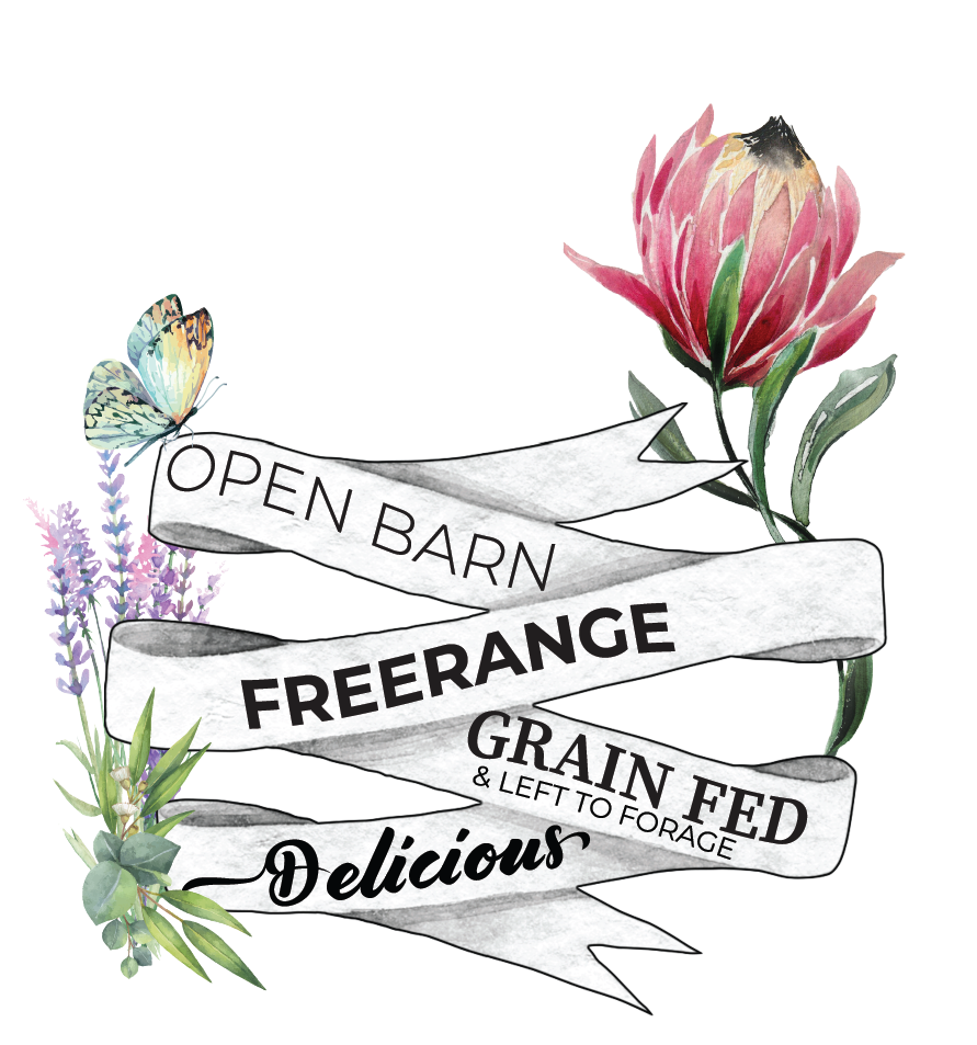 Open Barn · Free Range · Grain Fed · Delicious